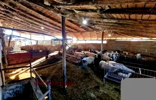 Промишлена сграда в Пловдив, с. Боянци