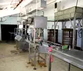 Снимка 4 — Промишлена сграда в Пловдив, с. Стряма