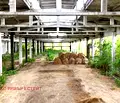 Снимка 5 — Промишлена сграда в Разград, с. Юпер