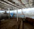 Снимка 4 — Промишлена сграда в Русе, Борово