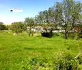 Снимка 5 — Промишлена сграда в Русе, Две могили