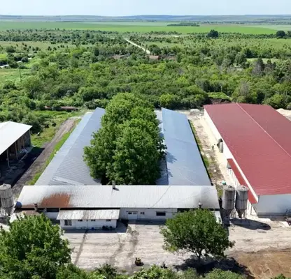 Снимка 5 — Промишлена сграда в Русе, с. Борисово