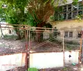 Снимка 4 — Промишлена сграда в Русе, с. Николово