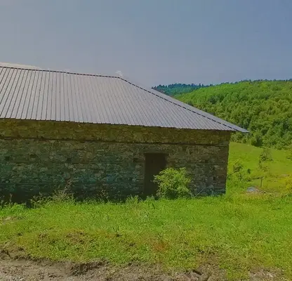 Снимка 4 — Промишлена сграда в Смолян, с. Кремене