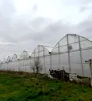 Промишлена сграда в Стара Загора, с. Братя Даскалови