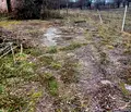 Снимка 2 — Промишлена сграда във Велико Търново, с. Ново село