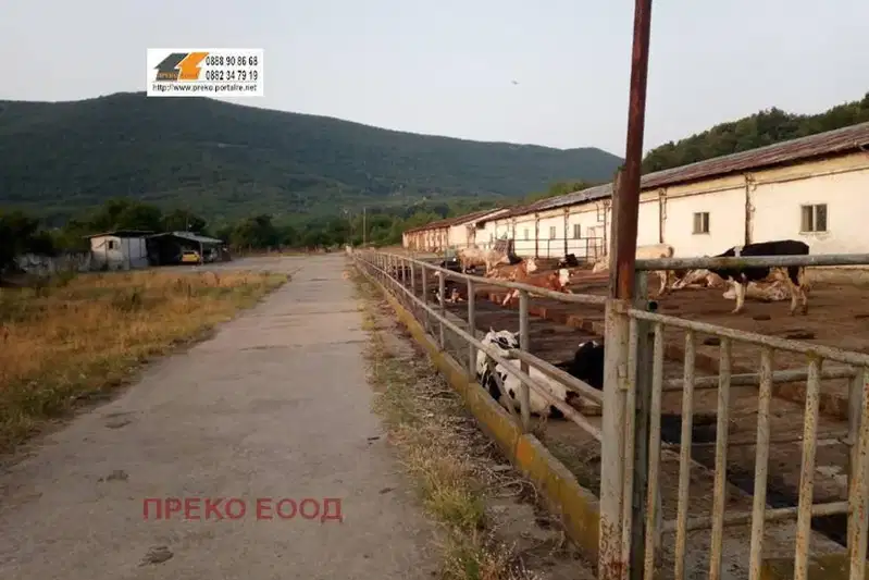 Промишлена сграда във Враца, Криводол