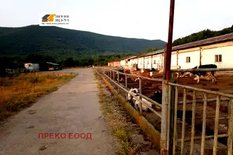 Промишлена сграда във Враца, Криводол