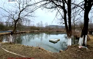 Промишлена сграда във Враца, Роман
