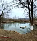 Промишлена сграда във Враца, Роман