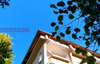 Склад във Велико Търново, Картала