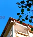 Склад във Велико Търново, Картала