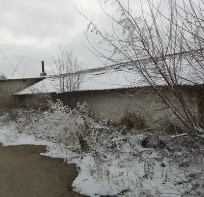 Photo 4 — Warehouse in Dobrich, Lovchanci