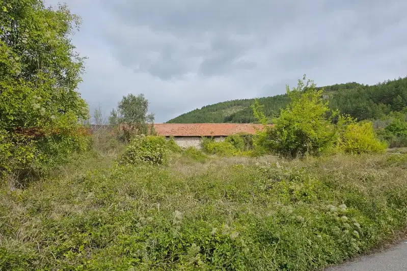 Warehouse in Oblast Kyustendil, Rajdavica