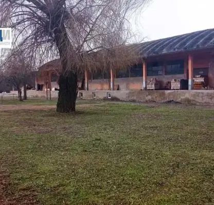 Photo 5 — Warehouse in Oblast Veliko Tyrnovo, Polski Trymbesh