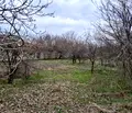 Снимка 5 — Склад във Велико Търново, с. Паскалевец