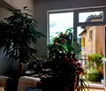 Снимка 4 — Тристаен апартамент в Банкя