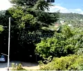 Снимка 4 — Тристаен апартамент във Варна, Бриз