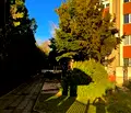 Снимка 2 — Тристаен апартамент във Варна, Бриз