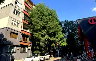 Тристаен апартамент в София, Център