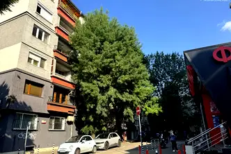 Тристаен апартамент в София, Център