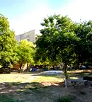 3-стаен апартамент с тераса в Център, Пловдив