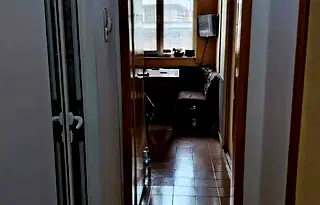 Тристаен апартамент в Кърджали, Център