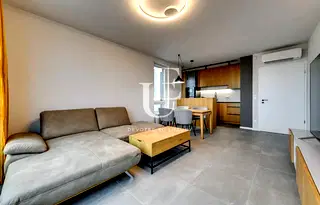 Тристаен апартамент в София, Дружба 2