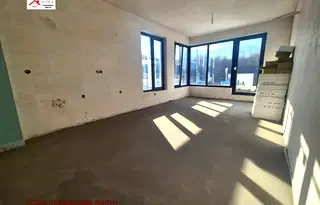 Тристаен апартамент в София, Дървеница