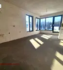 Тристаен апартамент в София, Дървеница