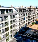 Тристаен апартамент в София, Дървеница