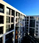 Тристаен апартамент в София, Дървеница
