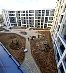 Тристаен апартамент в София, Дървеница