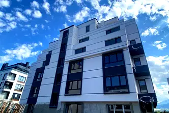 Тристаен апартамент в София, Дървеница