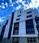 Тристаен апартамент в София, Дървеница