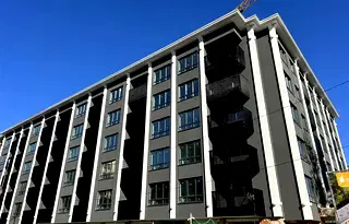 Тристаен апартамент в София, Дървеница