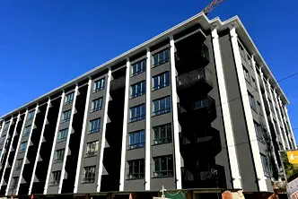 Тристаен апартамент в София, Дървеница