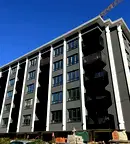 Тристаен апартамент в София, Дървеница