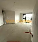 Тристаен апартамент в София, Дървеница