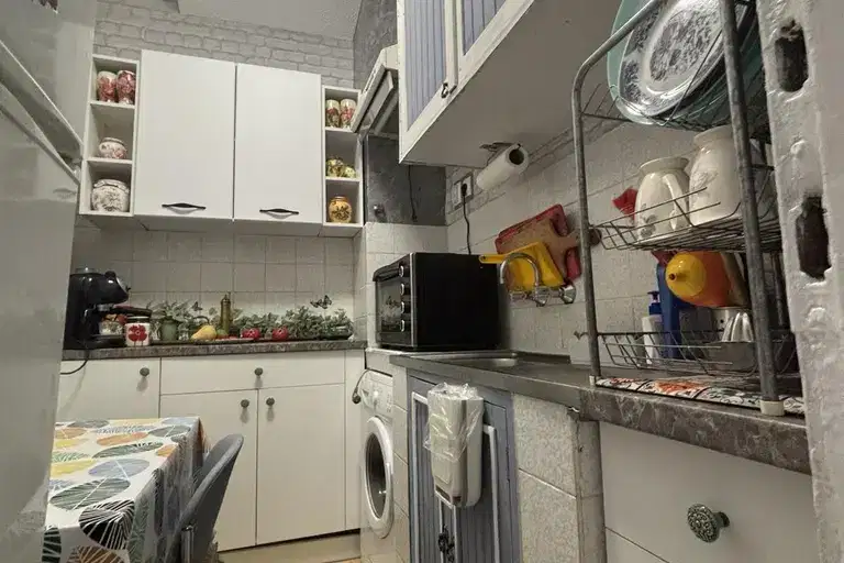 Тристаен апартамент в София, Гео Милев