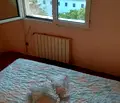 Снимка 3 — Тристаен апартамент във Видин, Калето