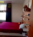 Тристаен апартамент в Пловдив, Каменица 2