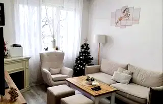 Тристаен апартамент в София, Лагера