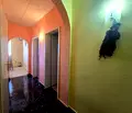 Снимка 5 — Тристаен апартамент в Плевен, Мара Денчева