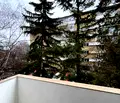 Снимка 3 — Тристаен апартамент в София, Младост 1