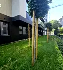 Тристаен апартамент в София, Оборище