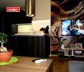 Снимка 5 — Тристаен апартамент в Пловдив, Остромила