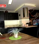 Тристаен апартамент в Пловдив, Остромила