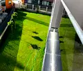 Снимка 5 — Тристаен апартамент в София, Полигона