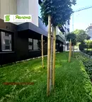 Тристаен апартамент в София, Редута